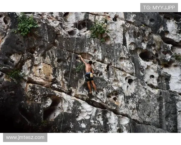攀岩深度探索：揭秘上海攀岩队的转型与成长之路